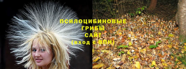 альфа пвп Кукмор