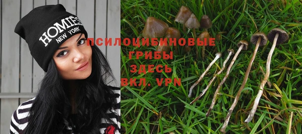 альфа пвп Кукмор
