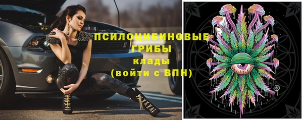 хмурый Кулебаки