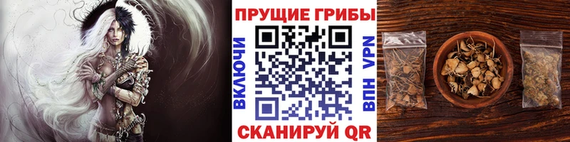 Купить закладки Ува Псилоцибиновые грибы MAGIC MUSHROOMS
